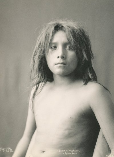  av Frank A. Rinehart