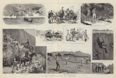 Et løp i land ved St Helena av Frank Dadd
