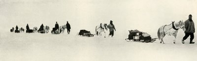 Ponnier i mars 1911, 1913 av Frank Debenham