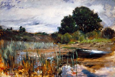  av Frank Duveneck