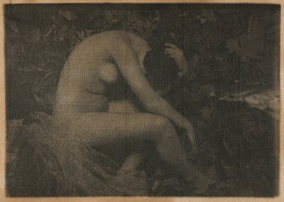 Sikaden av Frank Eugene