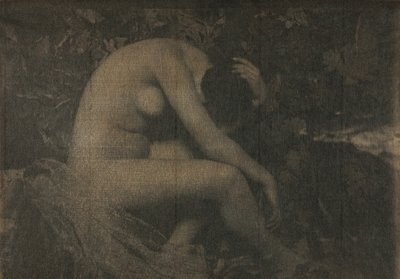 Sikaden, 1898. av Frank Eugene