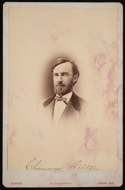 Portrett av Chauncey Wiltse 1834-1894, 1875-1876. av Frank F Currier