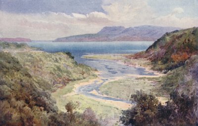  av Frank H Wright