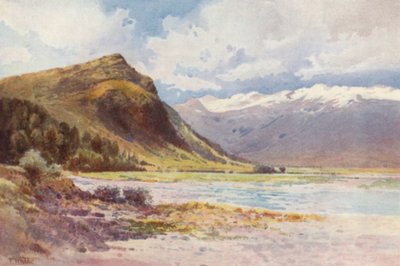  av Frank H Wright