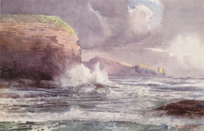  av Frank H Wright