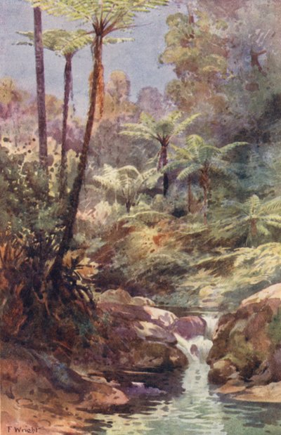  av Frank H Wright