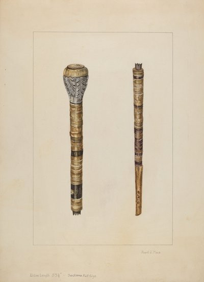 Cowhorn Cane av Frank J. Mace