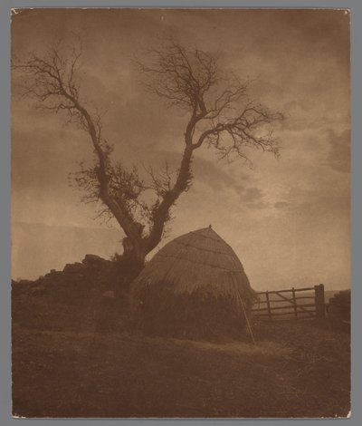 Egton Bridge i Whitby ved sonsondergang The Curfew of the Sun (tittel på objekt) av Frank Meadow Sutcliffe