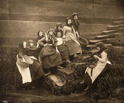 Kvinner som venter på dagenes fangst, Whitby Harbour, North Yorkshire, ca. 1899 av Frank Meadow Sutcliffe