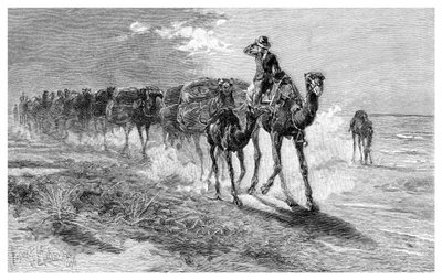 Kameler som bærer ull, 1886. av Frank P. Mahony