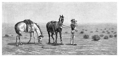 Ingenting i sikte, 1886. av Frank P. Mahony