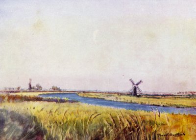 Norfolk Broads: Above St Olaves (farge litho) av Frank Southgate