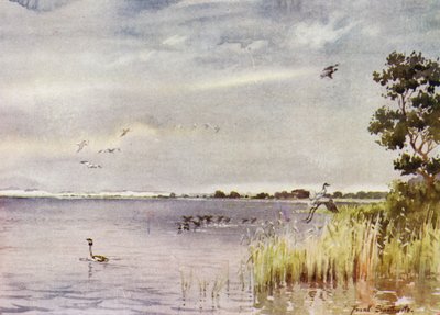 Norfolk Broads: Horsey Mere av Frank Southgate