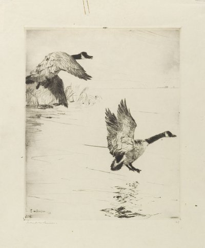 Gåss avstigning av Frank Weston Benson