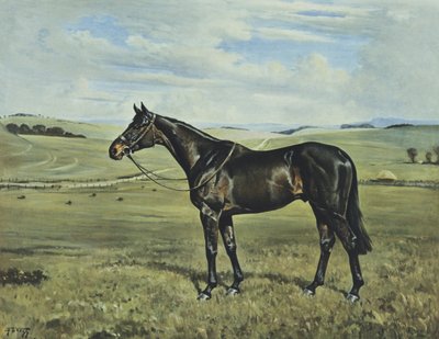  av Franklin Brooke Voss