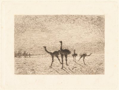 Strutser i ørkenen av François Nicolas Auguste Feyen Perrin