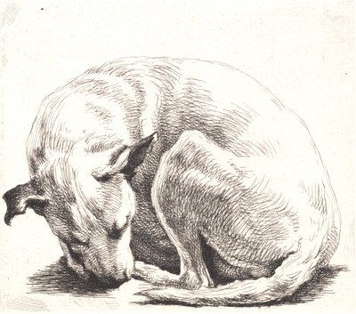 Prøveplate: En hund av Frans Schwartz