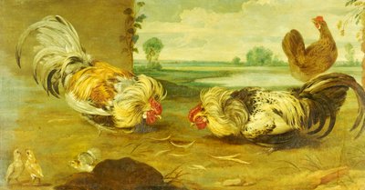 En hanekamp av Frans Snyders or Snijders