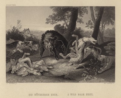 En villsvinjakt av Frans Snyders or Snijders