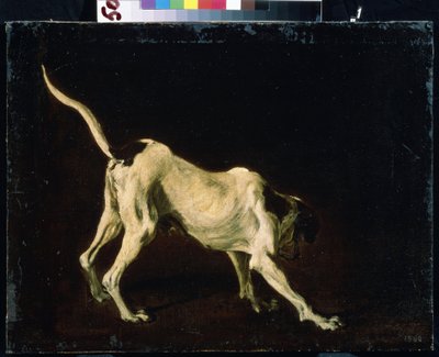 Hund (En hund). Maleri av Frans Snyders (1579-1657). Olje på lerret av Frans Snyders or Snijders