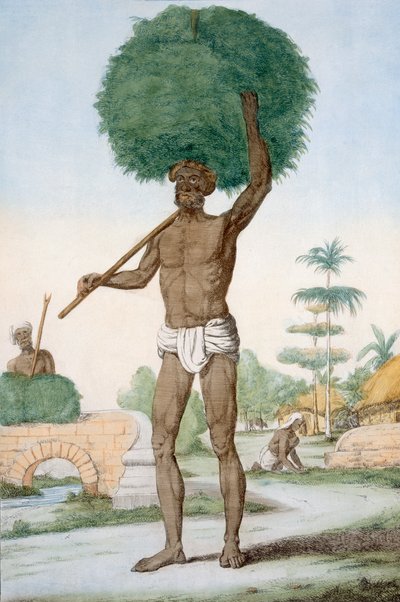 Hinduisk tjener som klipper gress, 