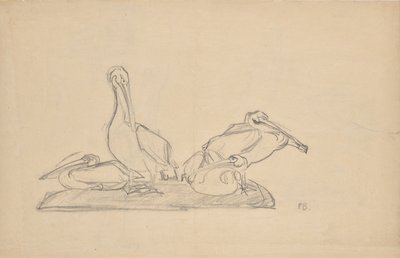 Utkast for en gruppe pelikaner av Franz Barwig d. Ä.