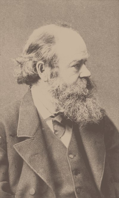 Portrett av komponisten Robert von Hornstein 1833-1890. av Franz Hanfstaengl
