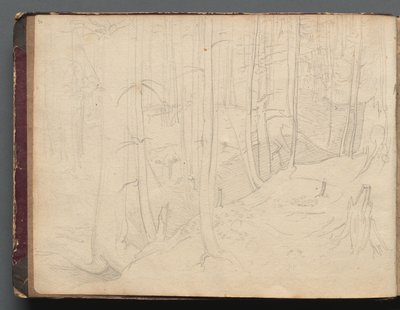 Album med utsikt over Roma og omegn, landskapsstudier, side 01b: Romersk landskap. av Franz Johann Heinrich Nadorp