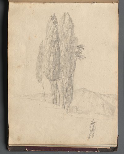 Album med utsikt over Roma og omegn, landskapsstudier, side 20a: Trær av Franz Johann Heinrich Nadorp