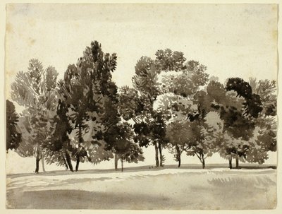 Grove av løvtrær av Franz Kobell