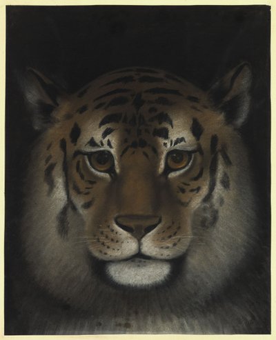 Tigerhode av Franz Krüger