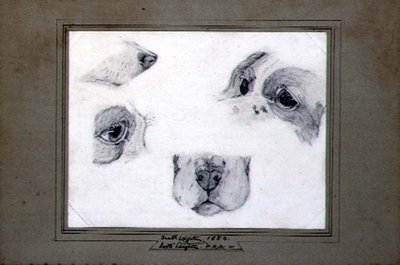 Studier av kunstnerens hund av Frederic (attr. to) Leighton