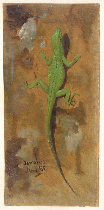 En øgle, Jamaica av Frederic Edwin Church