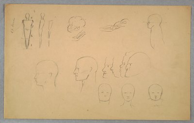 Anatomiske studier av Frederic Edwin Church