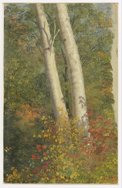  av Frederic Edwin Church