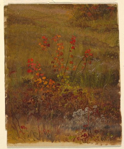 Botaniske studier av Frederic Edwin Church