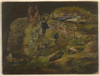 Boulder in the Woods av Frederic Edwin Church