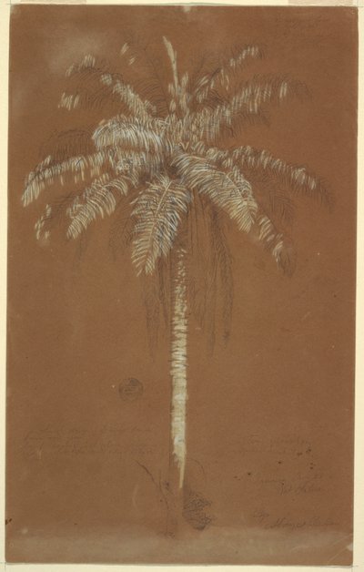  av Frederic Edwin Church