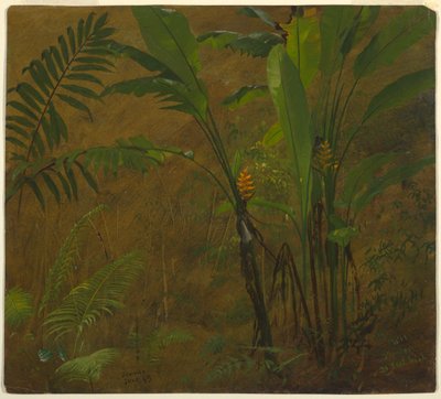  av Frederic Edwin Church