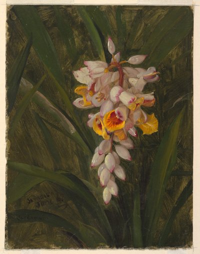  av Frederic Edwin Church