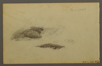 Tegning, råtten bjørk, 1844 av Frederic Edwin Church