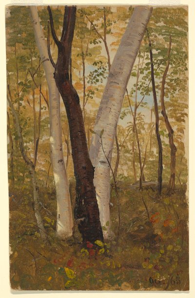  av Frederic Edwin Church