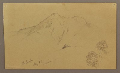 Tegning, landskap, planter, Bloxburgh, august 1865 av Frederic Edwin Church