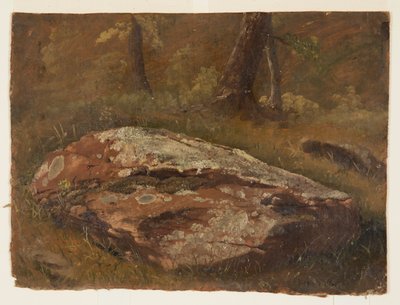 Tegning, Mosegrodde steiner, august 1845 av Frederic Edwin Church