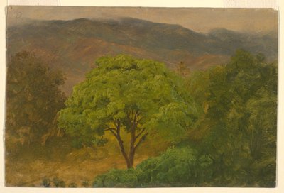  av Frederic Edwin Church
