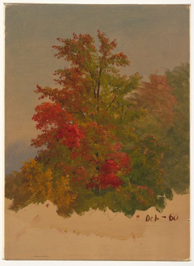 Tegning, Mt. Desert Island, Maine, oktober 1860 av Frederic Edwin Church