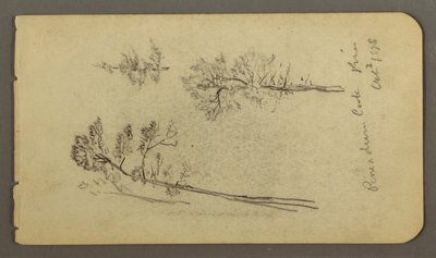 Tegning, furustudier, 1878 av Frederic Edwin Church