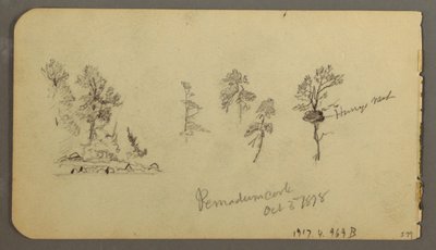 Tegning, furustudier, 1878 av Frederic Edwin Church