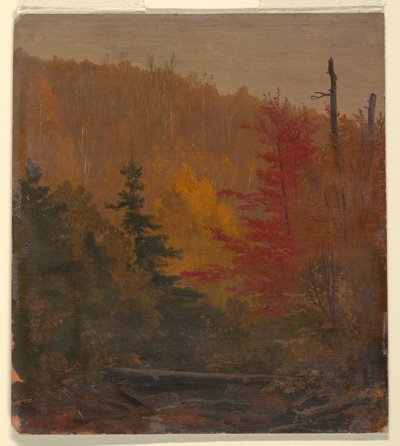  av Frederic Edwin Church